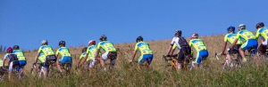 2016 - 8 (3)   