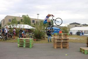 IMG 7657
